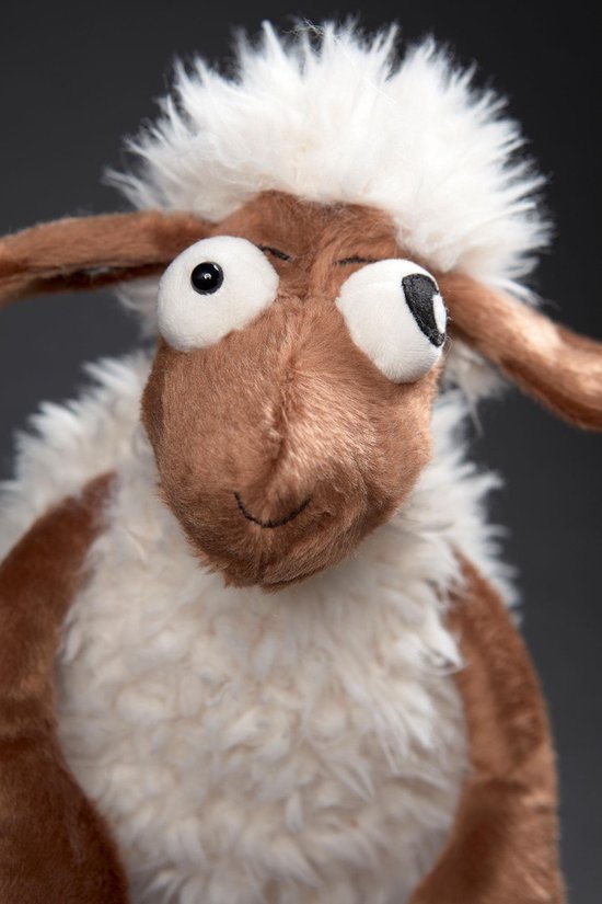 Crazy Sheep