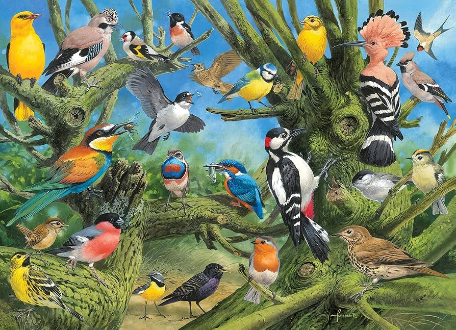 Garden Birds (1000)