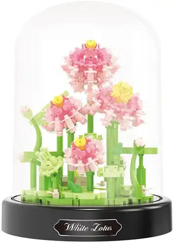 Balody Lotus