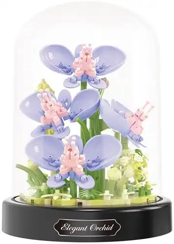 Balody Orchids