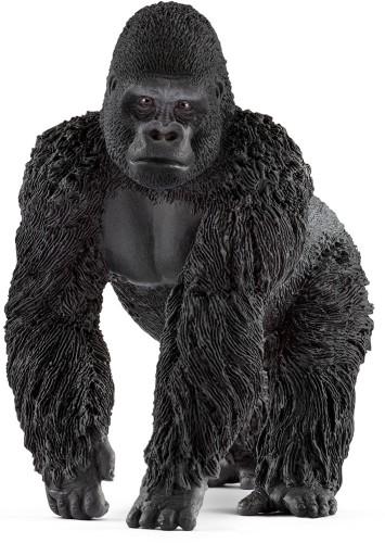 Gorilla Mannetje