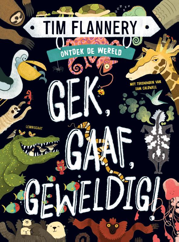 Gek, gaaf, geweldig!