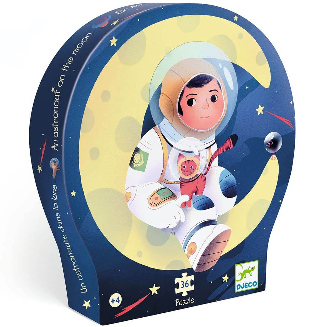 Een astronaut op de maan (36)