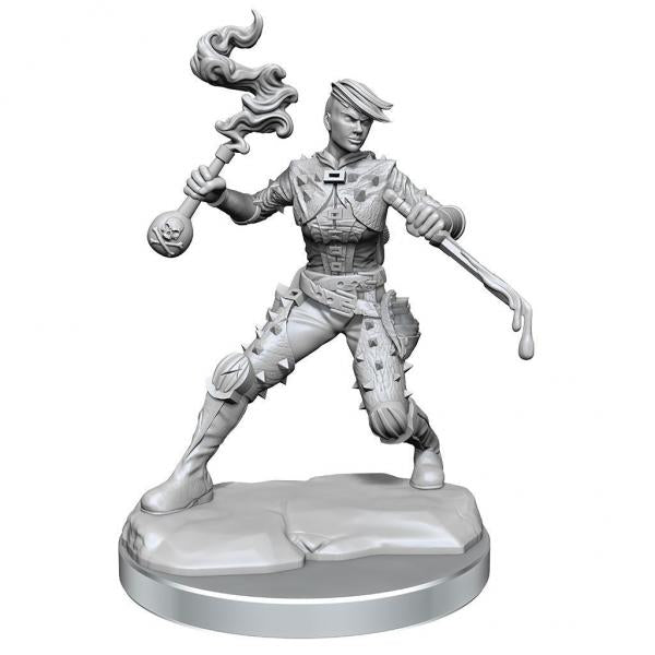 Dungeons & Dragons Frameworks Miniature Model Kit Human Rogue Female