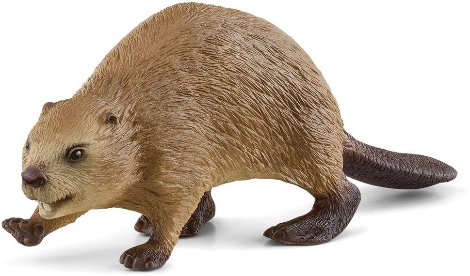 Schleich Wild Life Beaver – Bouwmeester van de Rivier
