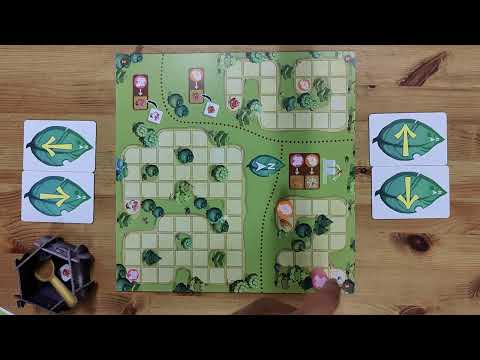 Magic Maze Kids