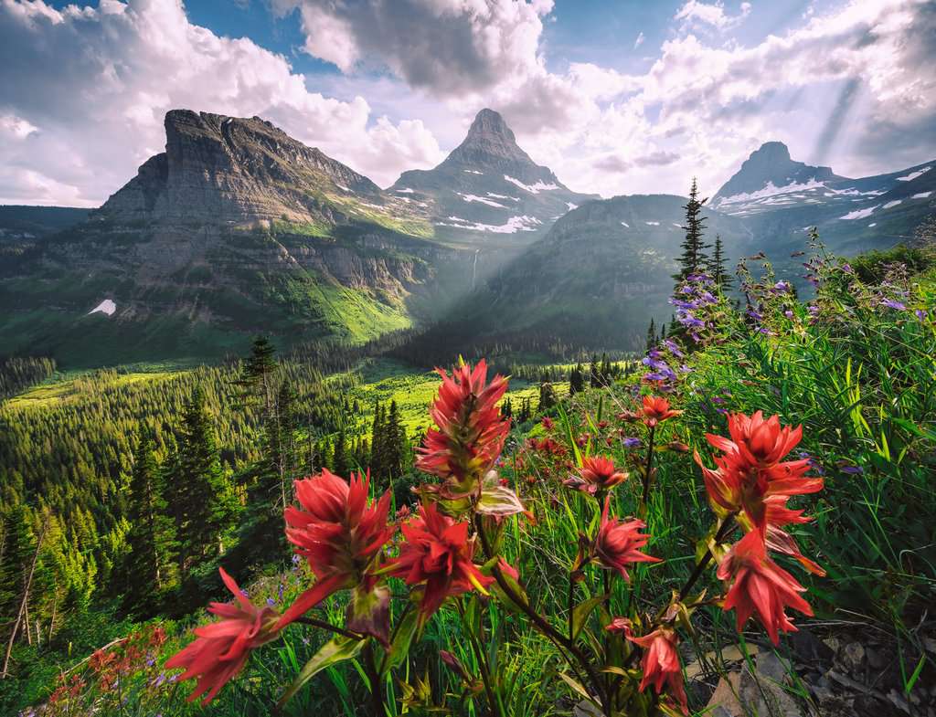 Ravensburger Puzzel Pristine Mountains