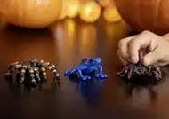Schleich Poison Dart Frog – Wild Life