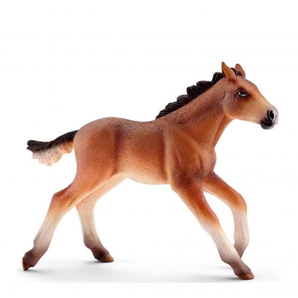 Mustang Veulen