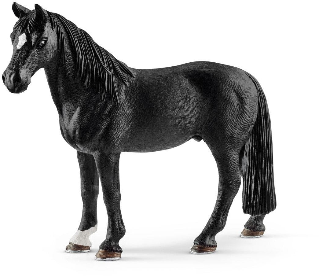 Tennessee Walker Hengst