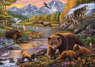 Wilderness (500XL)