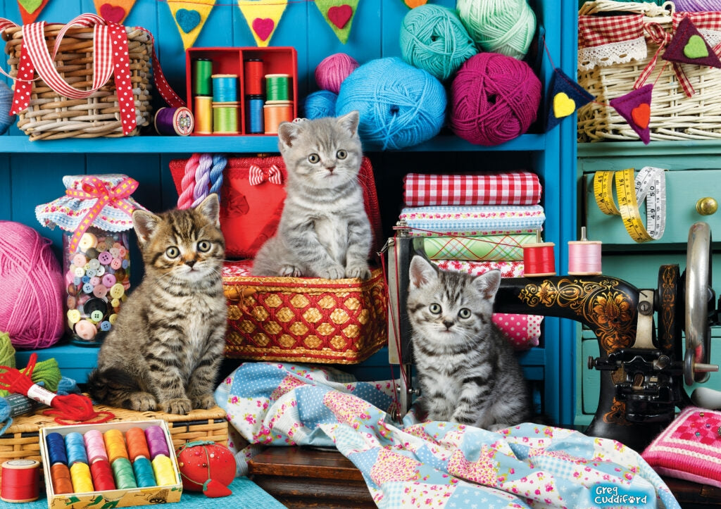 Sewing Room Kittens