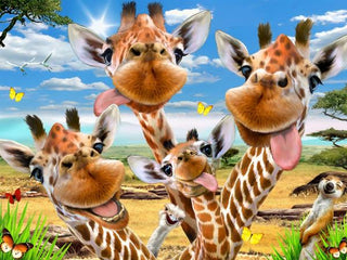 3D Puzzle - Giraffe Selfie (63)