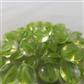 Chessex Gaming Glass Stones in Tube - Catseye Green (40)
