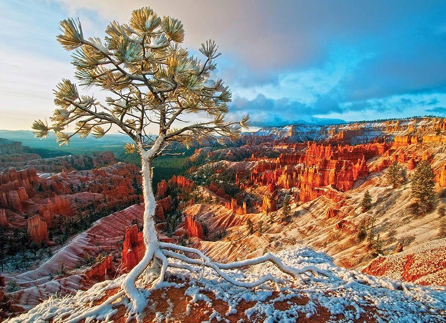 Winter Sunrise