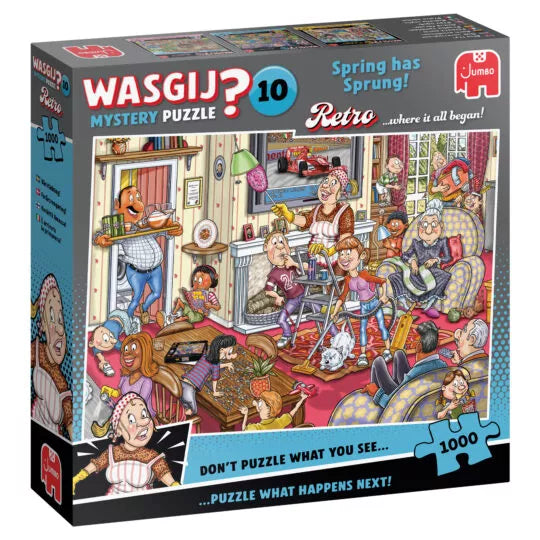 Wasgij Retro Mystery 10- De Voorjaars-Schoonmaak