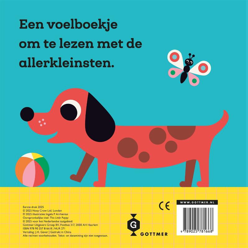 Dit kleine hondje