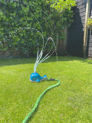 Water Sproeiende Walvis - De Dondersteen