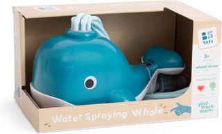 Water Sproeiende Walvis - De Dondersteen