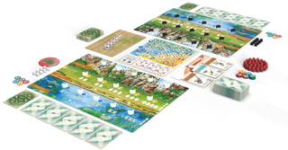 Wingspan Azië - De Dondersteen