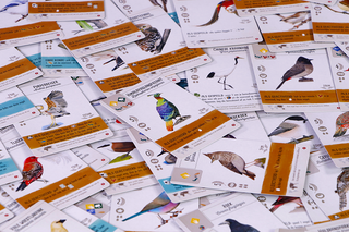 Wingspan Azië - De Dondersteen