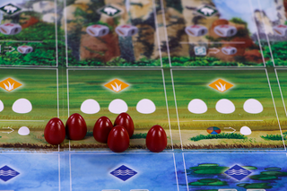 Wingspan Azië - De Dondersteen