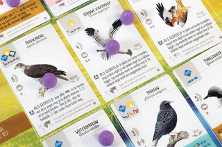 Wingspan Europa - De Dondersteen