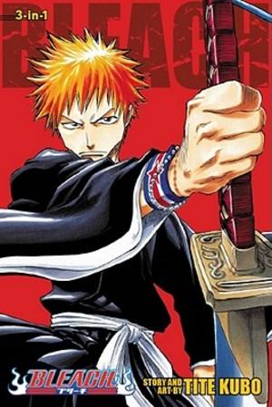 BLEACH 3IN1 TP VOL 01