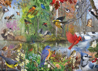 Birds of the Season (1000)