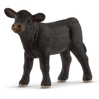 Black Angus kalf