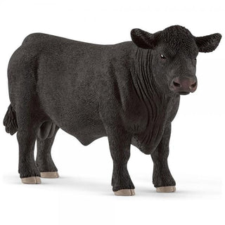 Black Angus stier