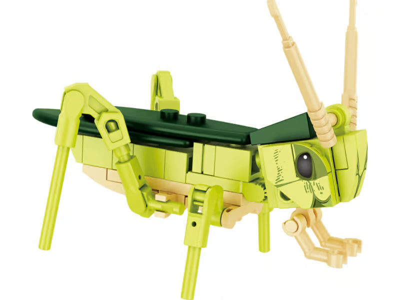 FORANGE Pocket Block: Insecten (diverse soorten)