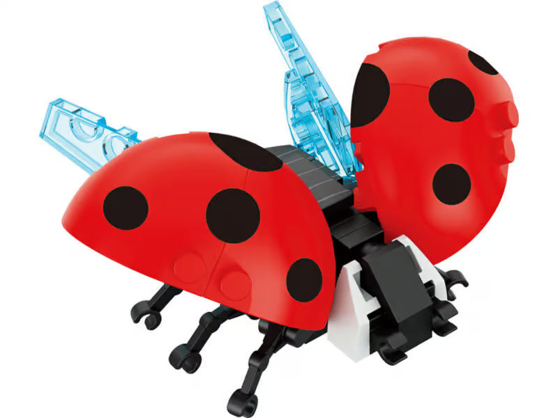 FORANGE Pocket Block: Insecten (diverse soorten)