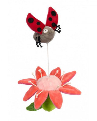 Rattle Flower and Ladybird