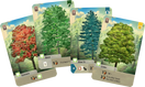 Switch Forest Shuffle - De Dondersteen 2 image
