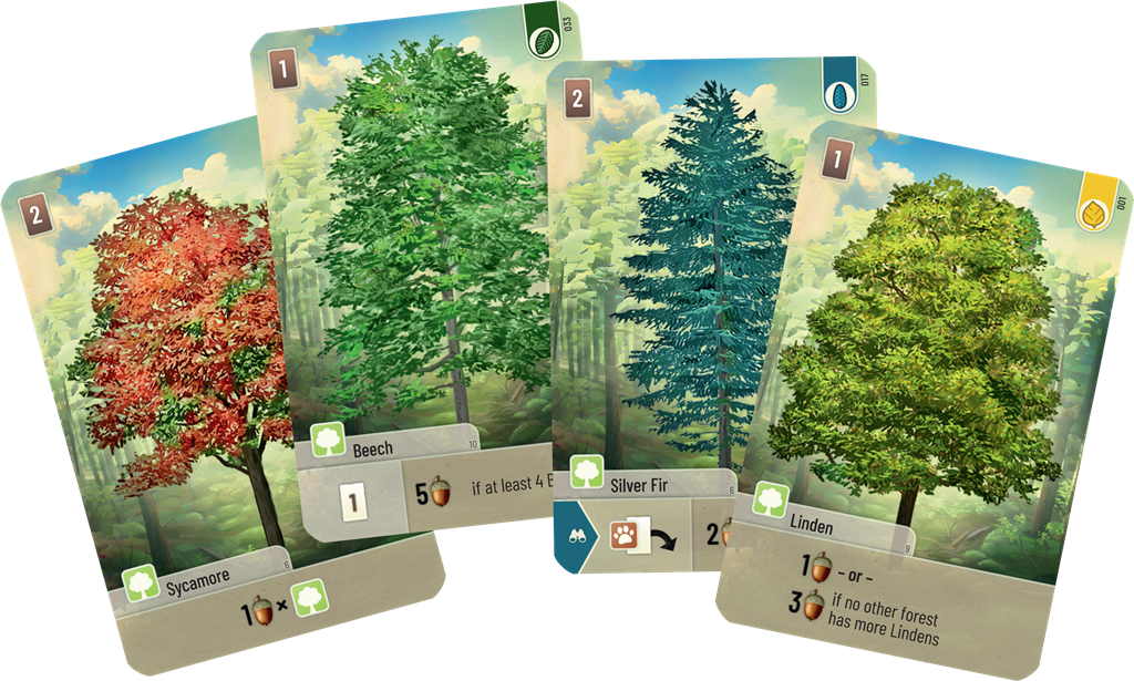 Forest Shuffle - De Dondersteen