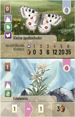 Forest Shuffle Alpine - De Dondersteen