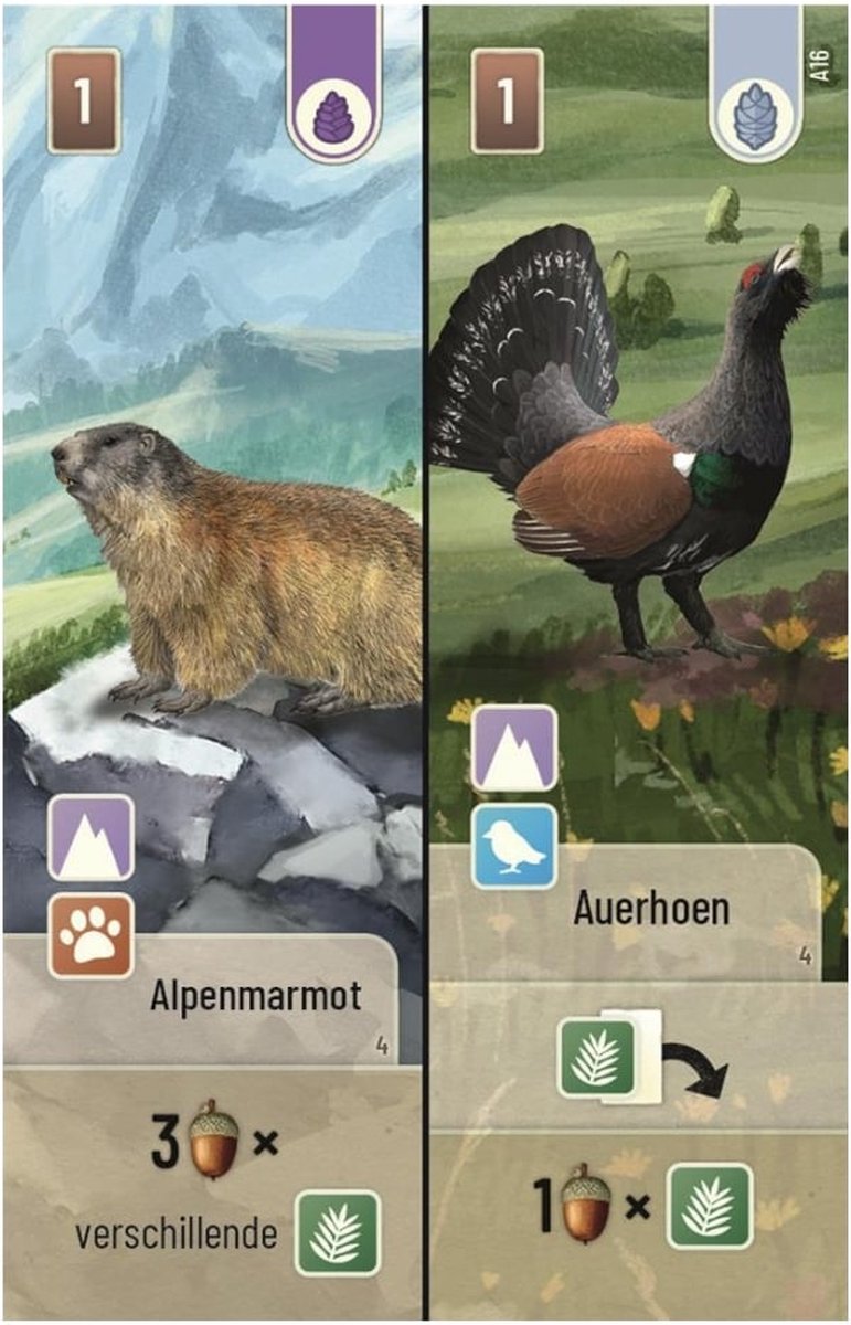Forest Shuffle Alpine