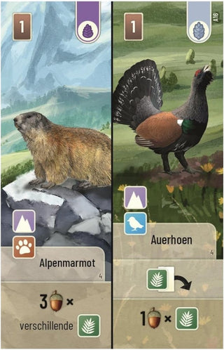 Forest Shuffle Alpine - De Dondersteen