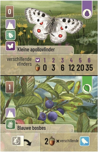 Forest Shuffle Alpine - De Dondersteen