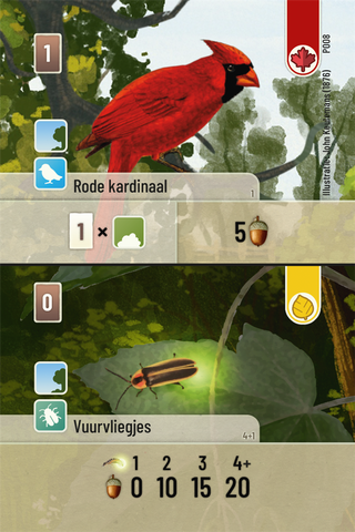 Forest Shuffle Exploration - De Dondersteen