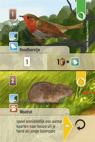 Forest Shuffle Exploration - De Dondersteen