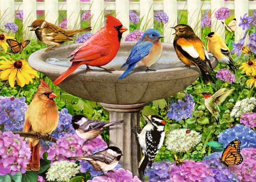 The Birdbath (500)