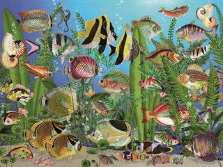 Aquarium (275 XL) - De Dondersteen