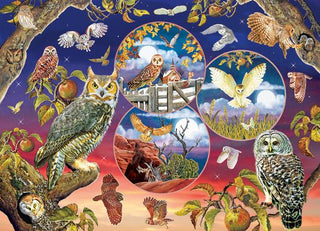 Owl Magic (1000) - De Dondersteen