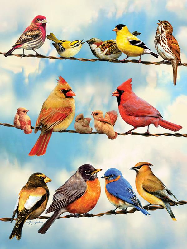 Birds on a Wire (500)