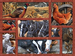 Farmyard Friends (275XL) - De Dondersteen