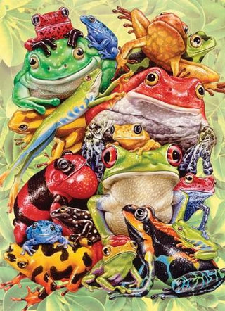 Frog Pile (350 Family) - De Dondersteen