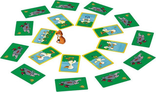 Ganzenpas (Frans) - De Dondersteen