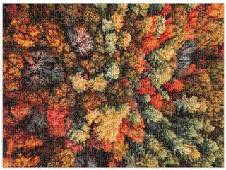 Autumn Forest (1000) - De Dondersteen